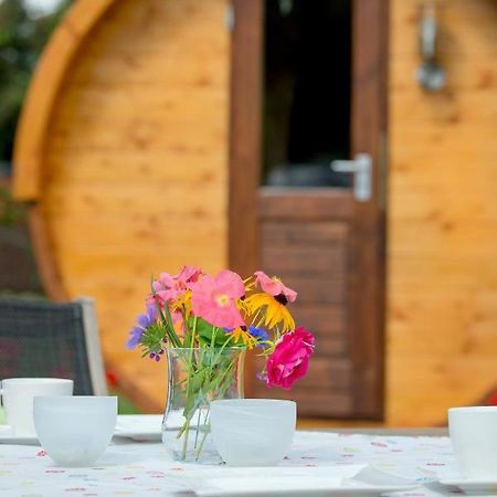 Schlaffass Campingplatz Nordbrock 哈明克尔恩 外观 照片